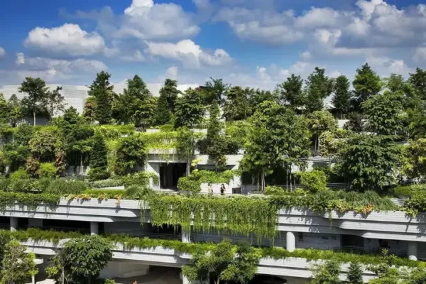 عمارة البيئة 1